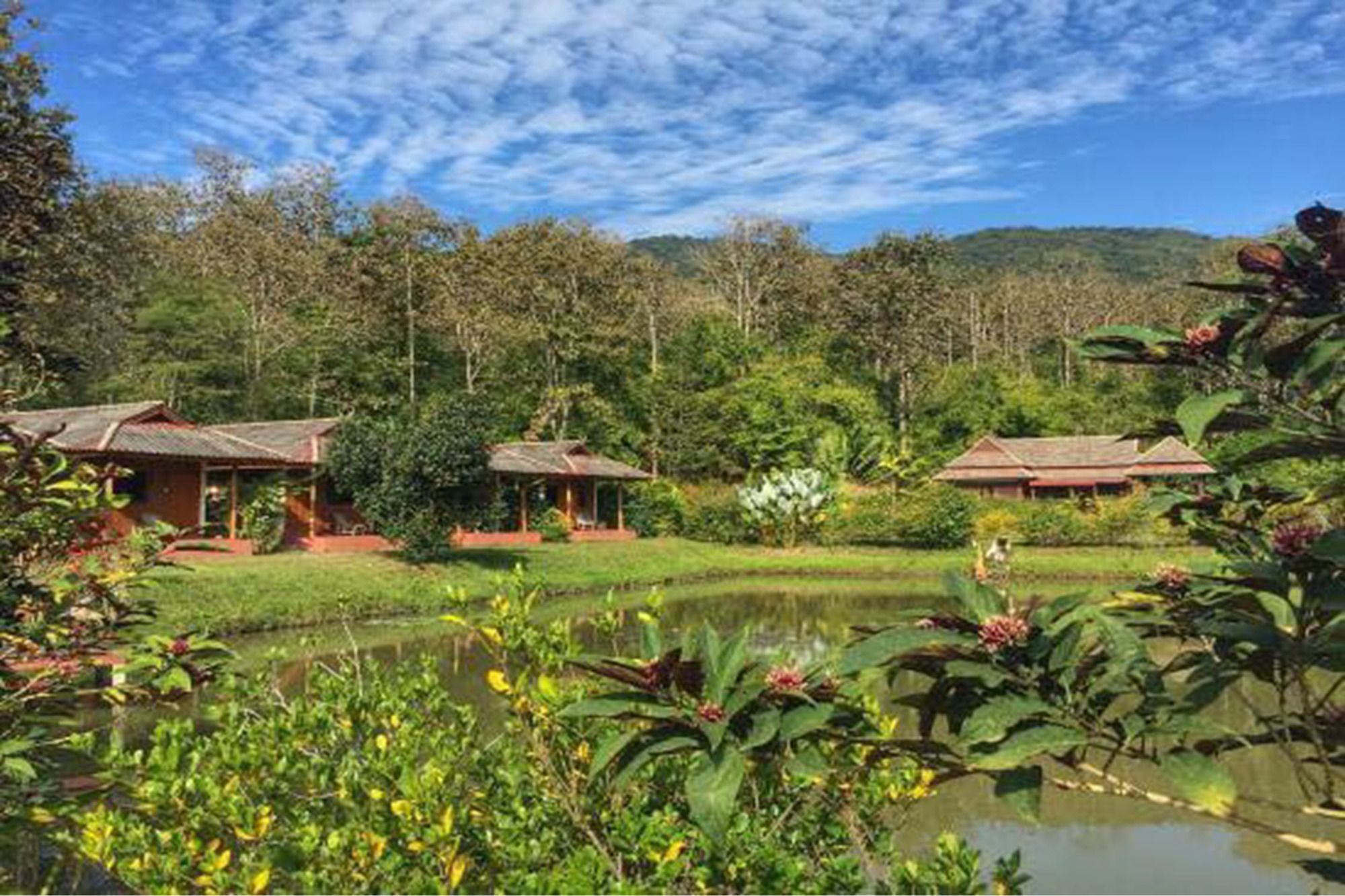 Noks Garden Resort Chiang Rai Exterior photo